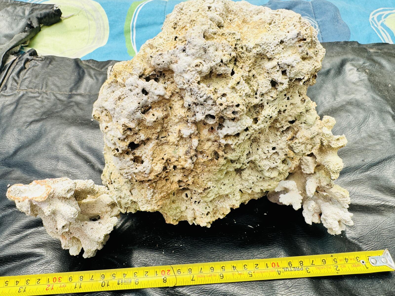 Roca Viva para Acuario Marino 🐠🪨 Ideal para Reef – Natural y Lista para Uso