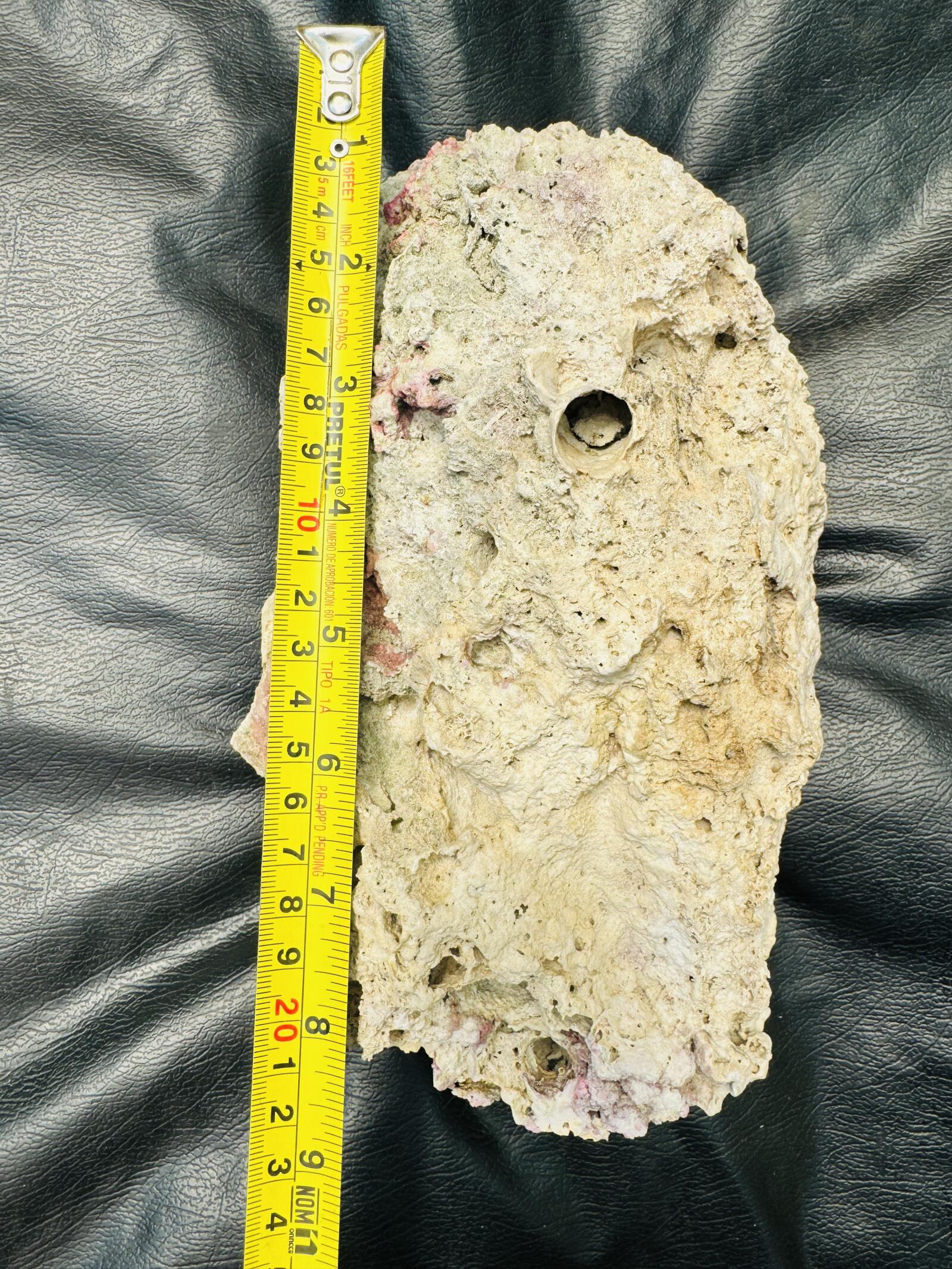 Roca Viva para Acuario Marino 🐠🪨 Ideal para Reef – Natural y Lista para Uso