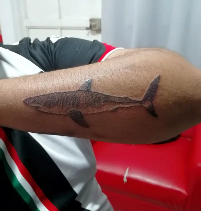 Tatuajes de Animales Personalizados | Realismo, Color y Diseños Exclusivos | Posada Tatto