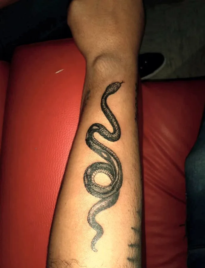 Tatuajes de Animales Personalizados | Realismo, Color y Diseños Exclusivos | Posada Tatto