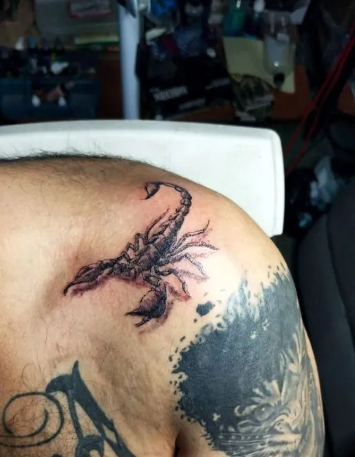 Tatuajes de Animales Personalizados | Realismo, Color y Diseños Exclusivos | Posada Tatto