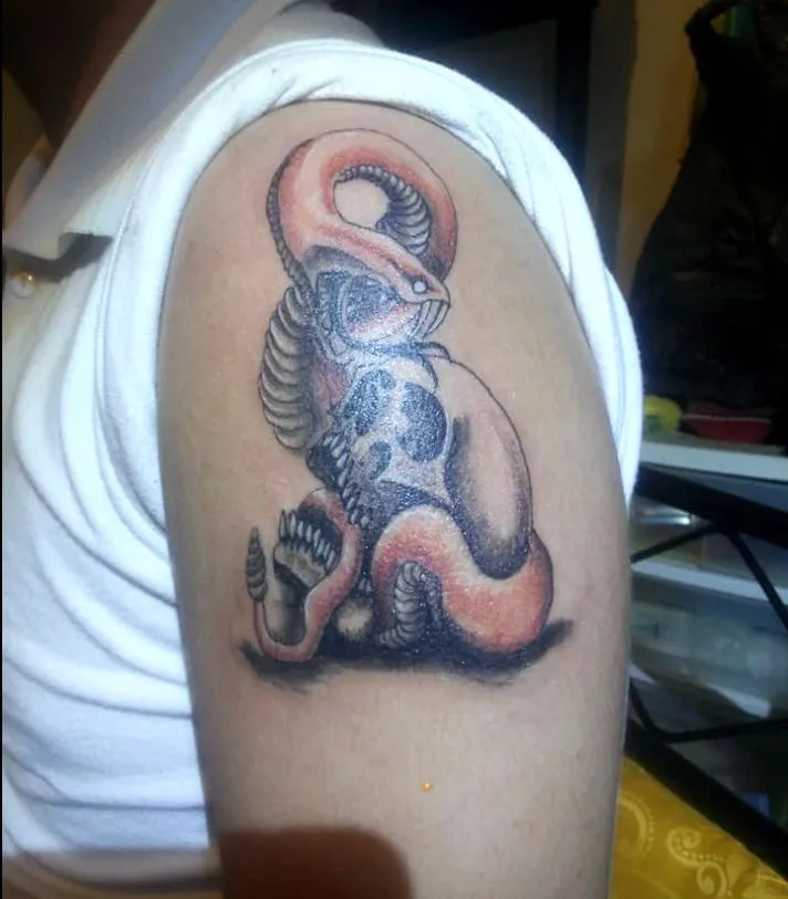 Tatuajes de Calaveras Personalizados | Realismo, Blackwork y Diseños Exclusivos | Posada Tatto